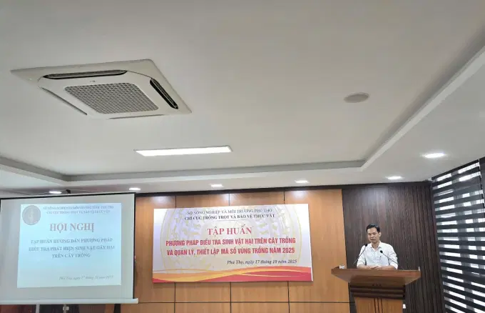 Đồng chí Nguyễn Trường Giang – Phó Chi cục trưởng phát biểu gợi ý thảo luận và thống nhất một số nội dung trong công tác điều tra phát hiện và đánh giá tình hình dịch hại