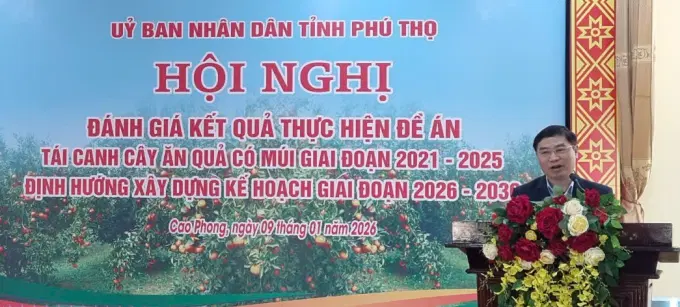 Đồng chí Phó cục Trưởng Cục Trồng trọt và Bảo vệ thực vật Nguyễn Quý Dương phát biểu tại Hội nghị