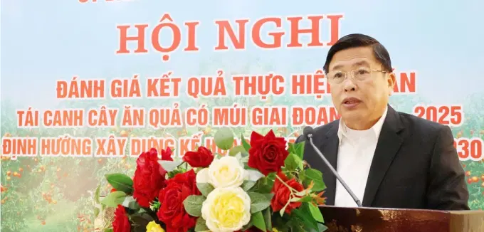 Đồng chí Phó Chủ tịch UBND tỉnh Đinh Công Sứ phát biểu chỉ đạo tại hội nghị